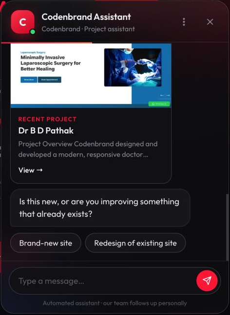 Chatbot showing a relevant project from the portfolio